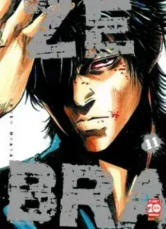 Volume cover